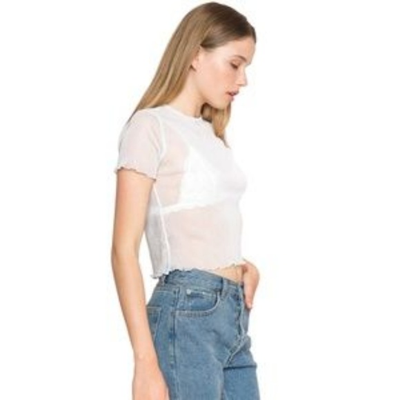 Metallic Mesh Crop Top See Through Sheer - Picture 7 of 8